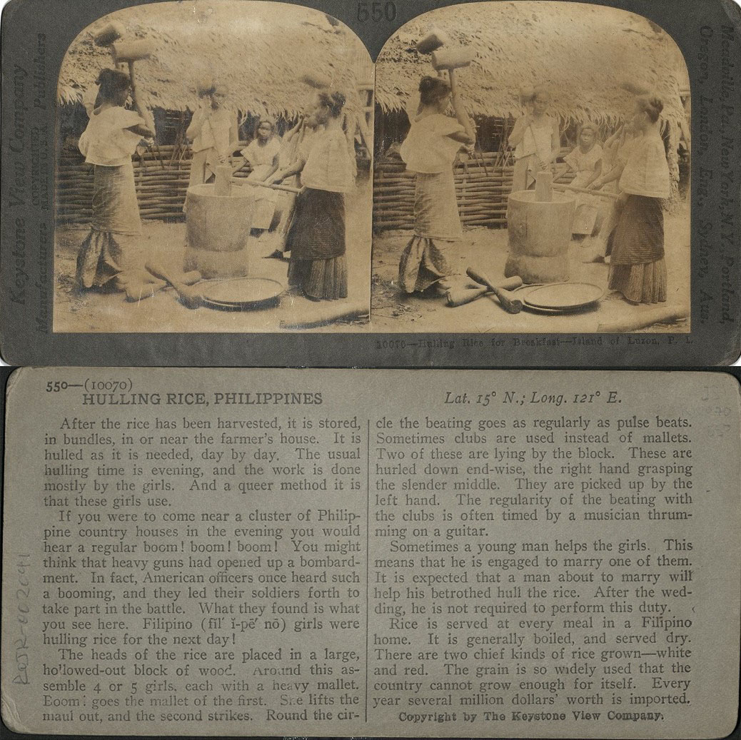 Hulling Rice for Breakfast, Island of Luzon, P. I.